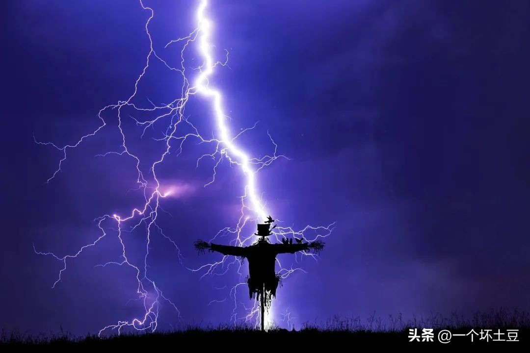 张雪峰谈不讲高考,张雪峰说不要在意别人对你的看法