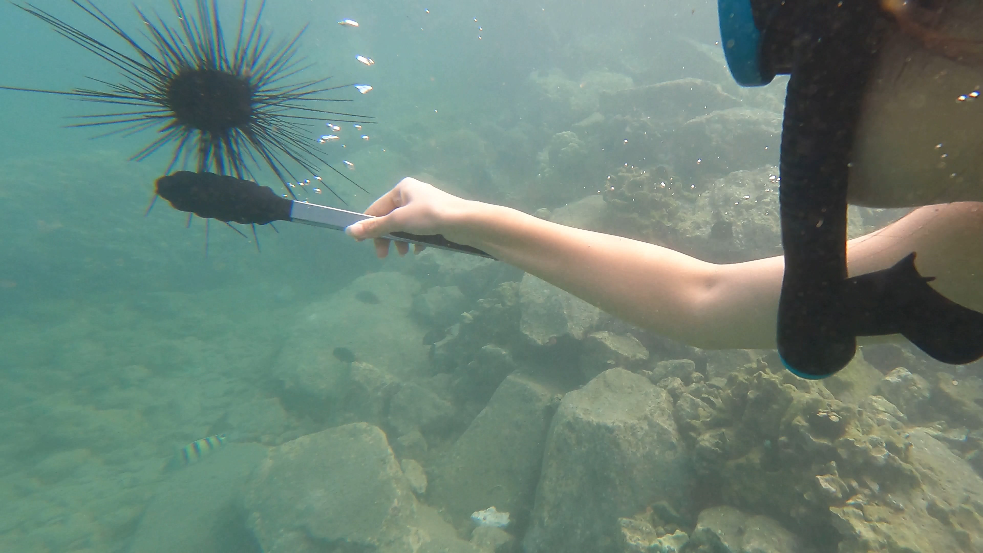 美国风光之夏威夷,夏威夷哪个岛适合度假