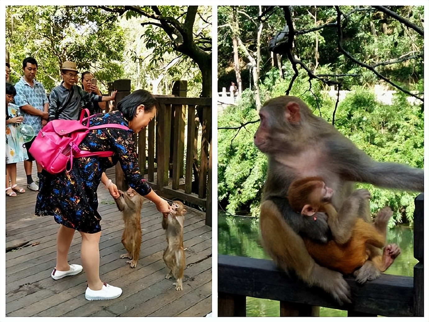 贵阳多彩贵州位置,贵阳多彩贵州城风景区