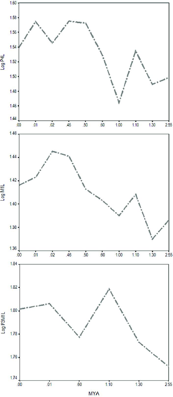 虎年的虎：我从哪里来，要到哪里去？