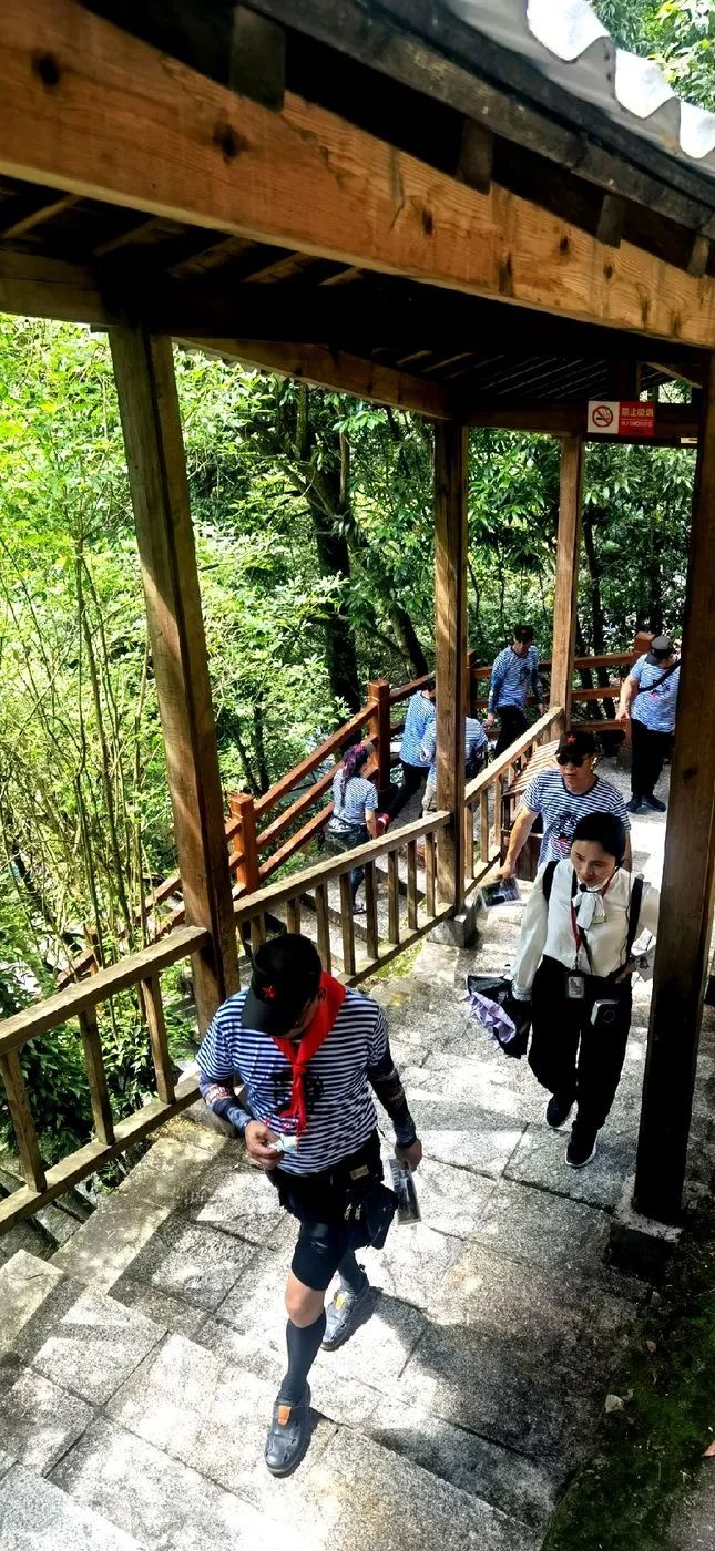 哈雷车主会福州分会,哈雷hog车主会八周年庆典巡游