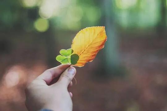 对你说这七句话的男人很爱你,男人对你说这三句话说明他很爱你