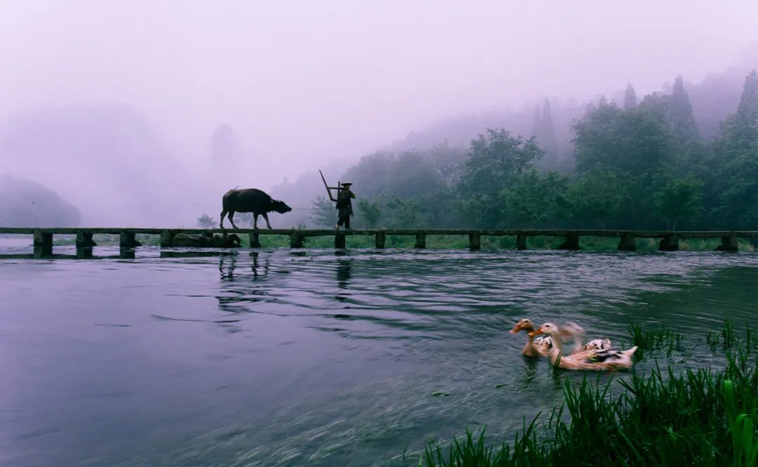 被《风味人间》疯狂种草的小城!1.5h直达!凭一个饼就征服世界