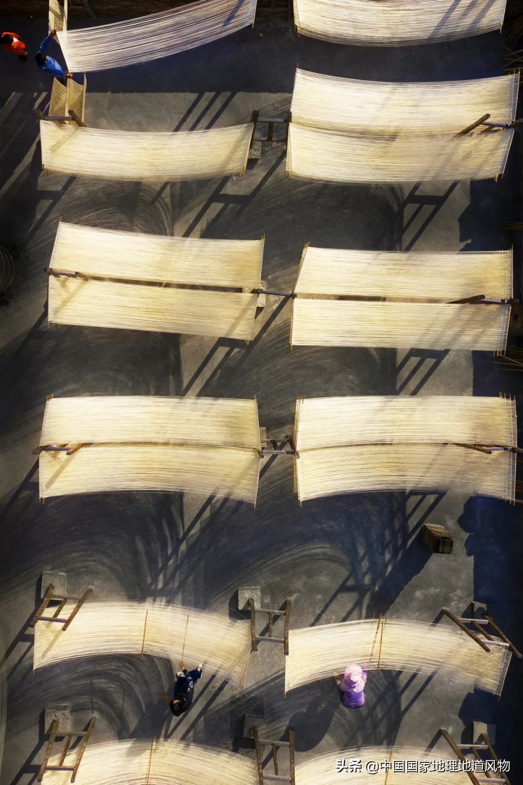 莆田荔枝龙眼枇杷,莆田的枇杷又大又甜