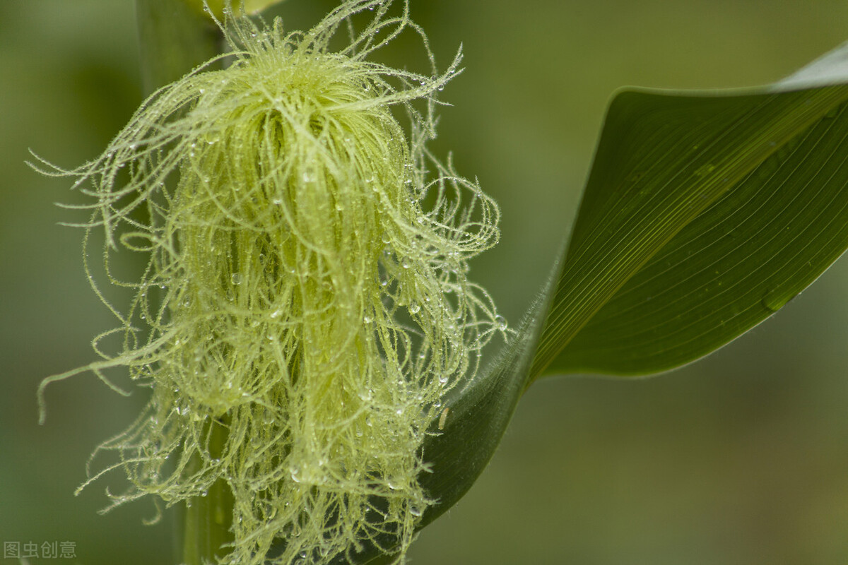 憋尿后膀胱胀痛的缓解方法,憋尿憋得膀胱胀痛怎么办