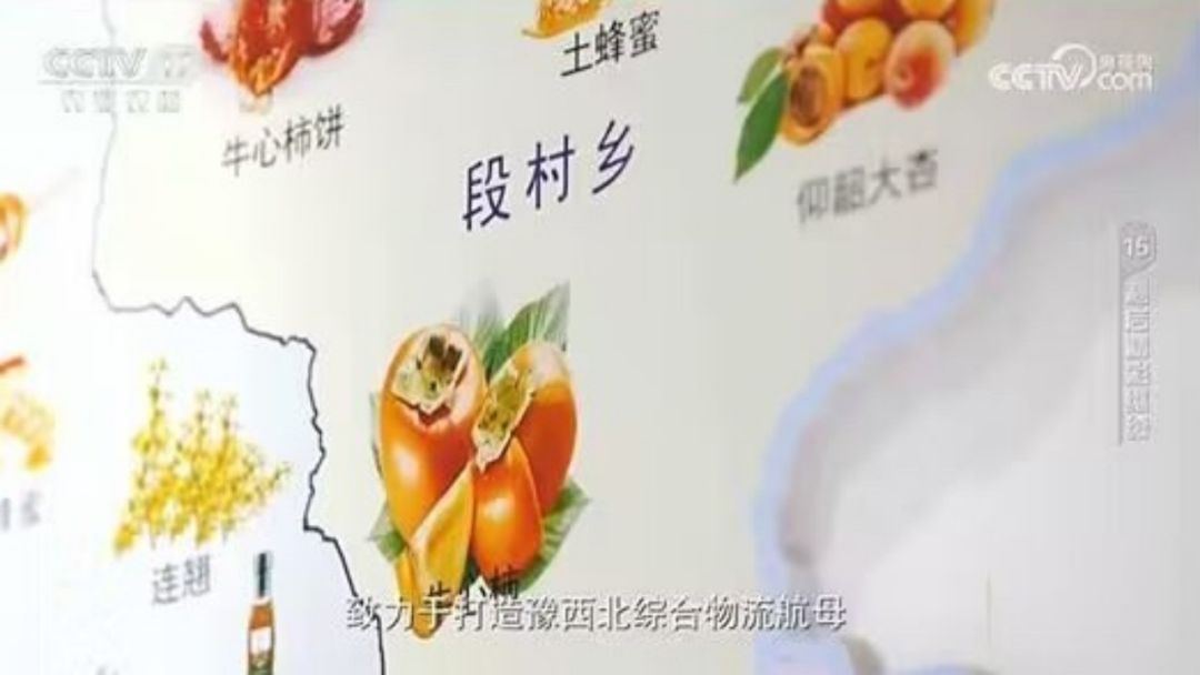 “黾池农仓”：电商助农，架起农民致富桥丨CCTV-17公益展播