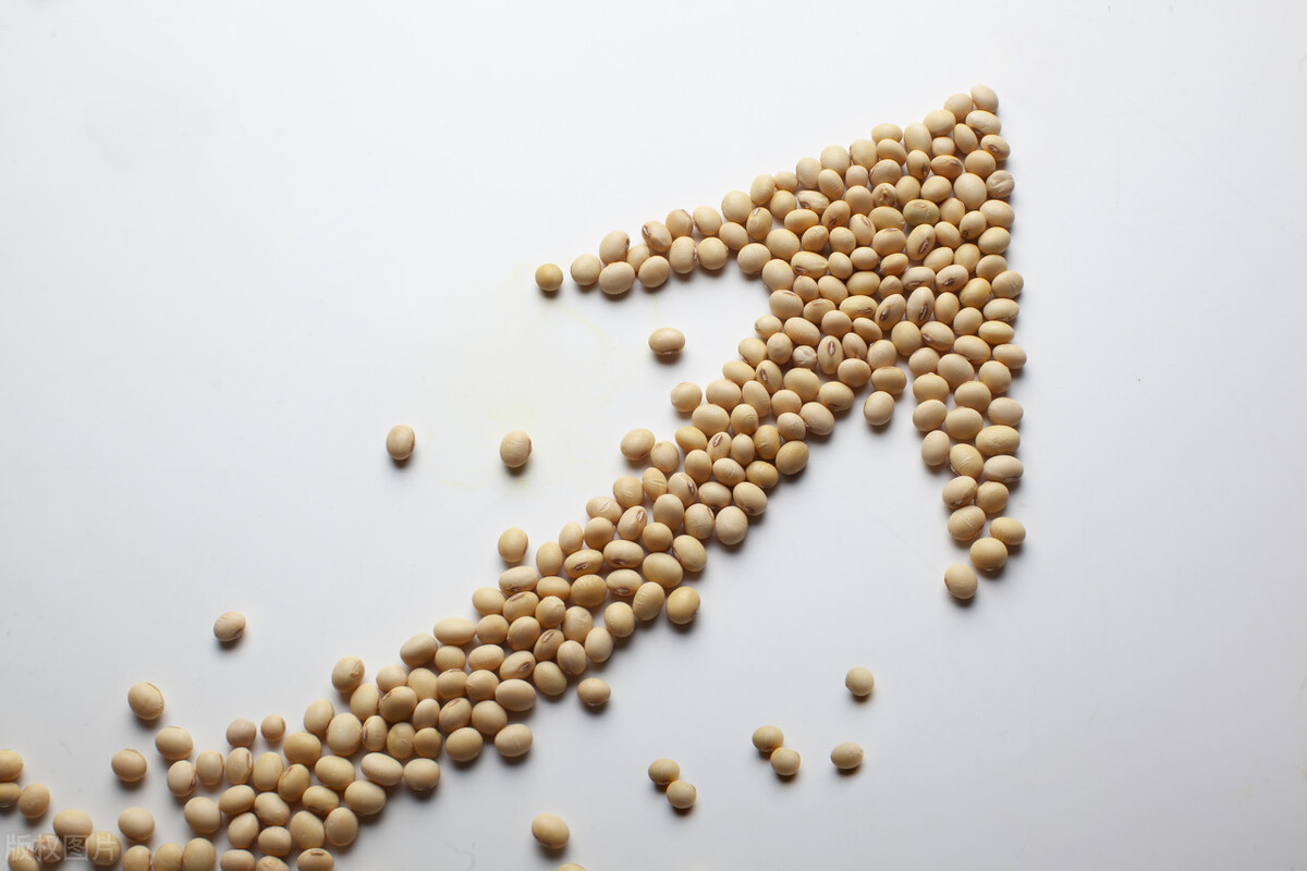 豆粕价格下跌对养殖企业影响,大豆下跌能抄底不