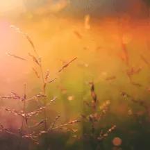 上班族网上兼职有什么,下班后有什么可以在网上做的兼职