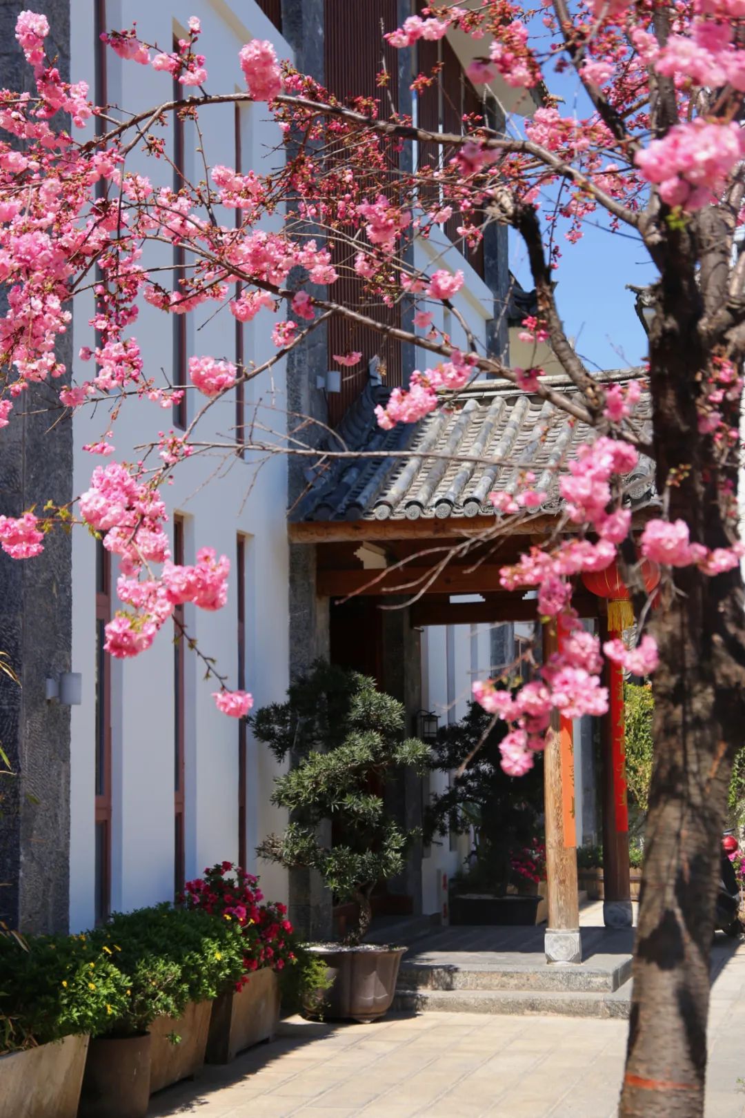 春节云南旅游详细攻略,云南春节旅游攻略最全推荐