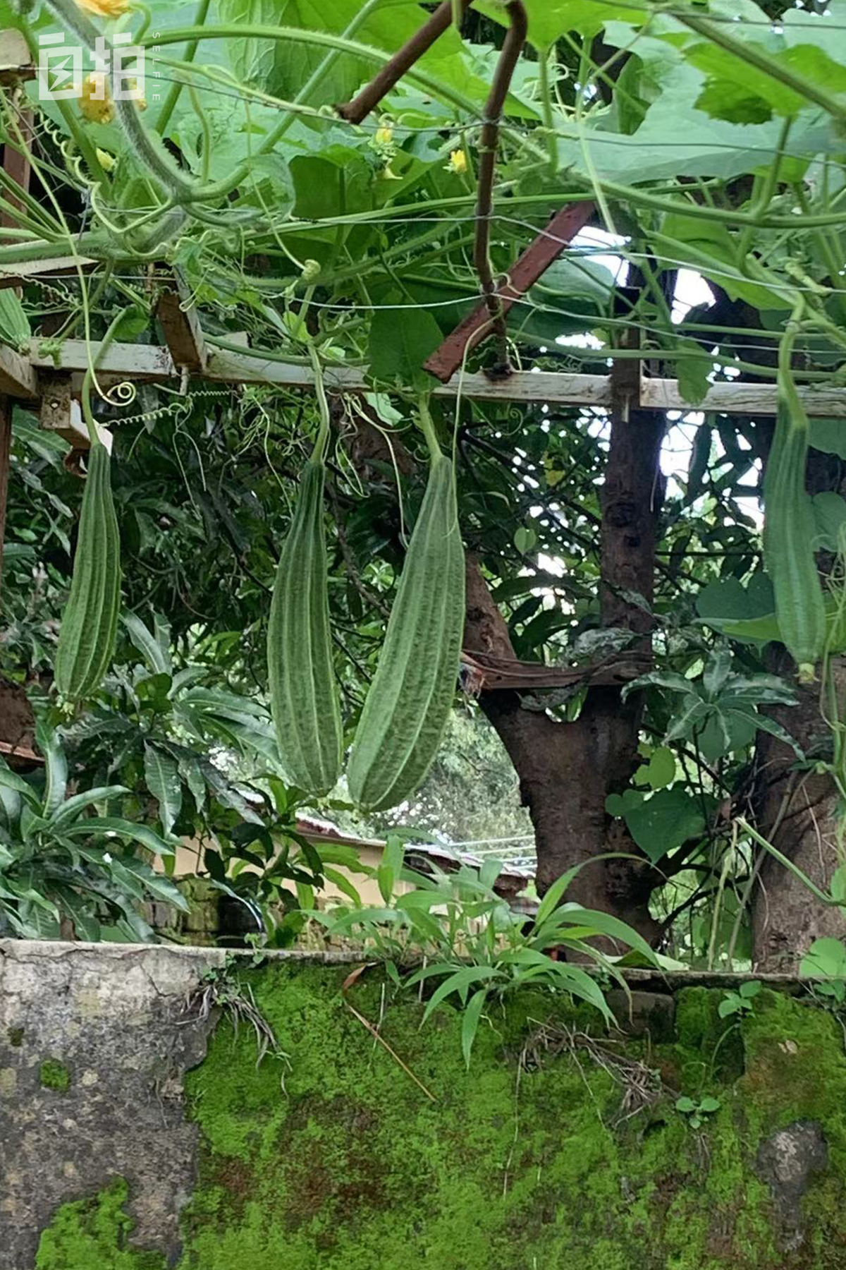 我,80后,和丈夫在非洲15年,只赚钱不花钱,想回国却很难