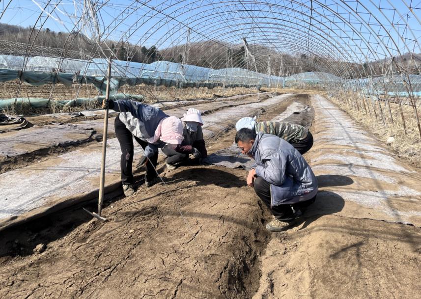 复工复产勤春耕乡村振兴正当时,驻村帮扶工作队战疫动态