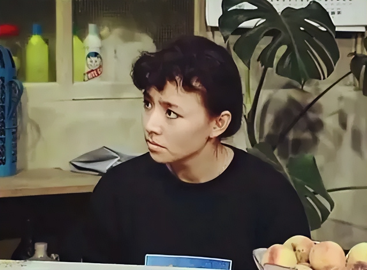 客厅实用盆栽植物有哪些,客厅一般放什么植物盆栽比较好