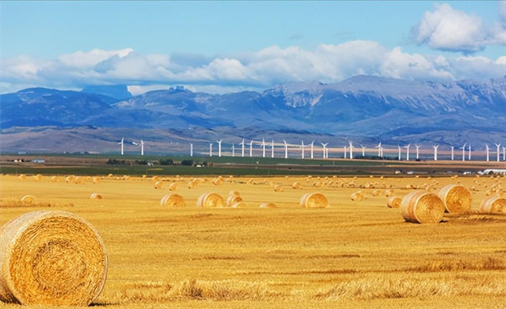 八大创业项目扶持政策,低成本创业扶持项目