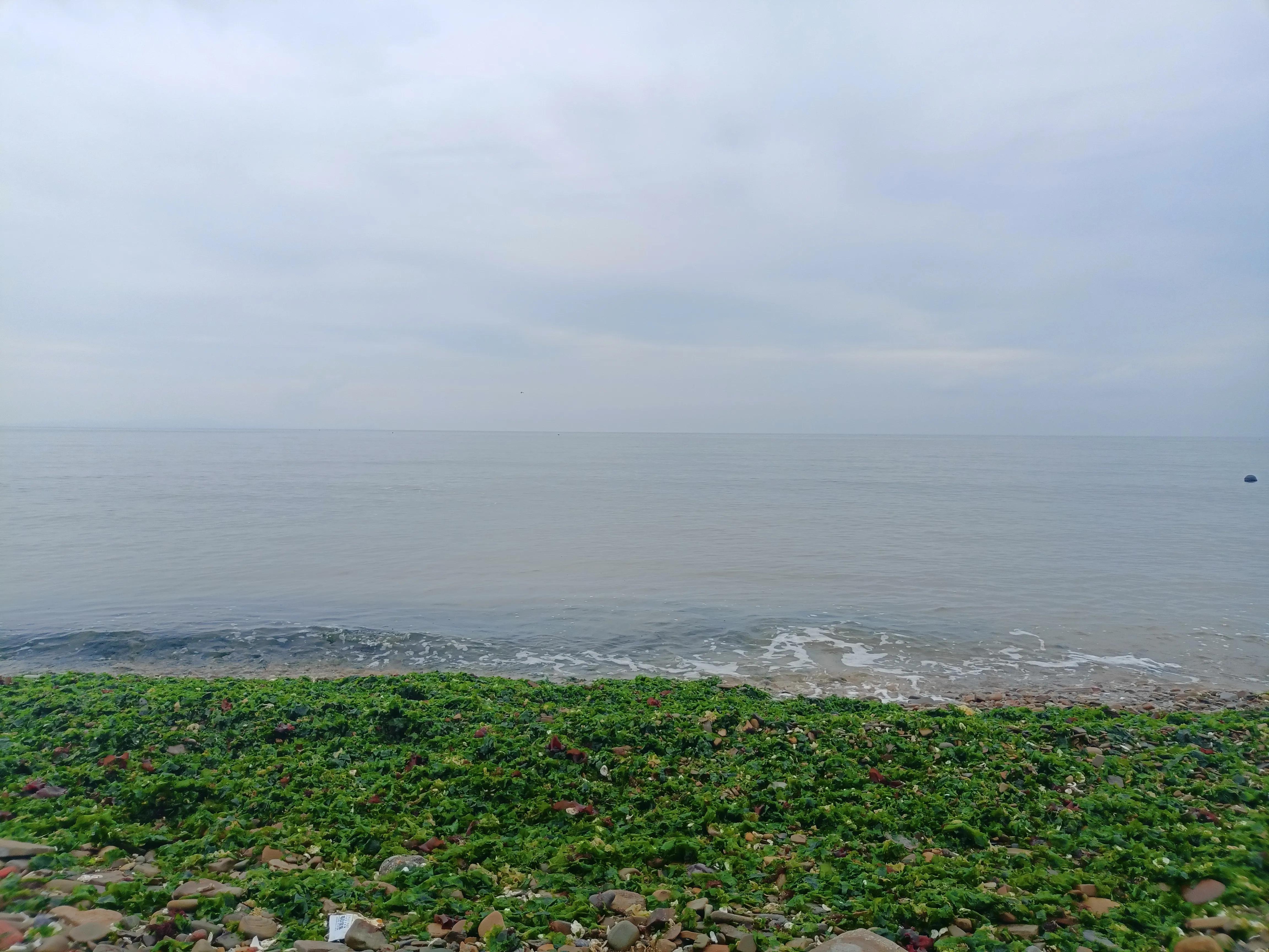 知行合一，简单的美好，仙浴湾、西中岛、金普新区行记