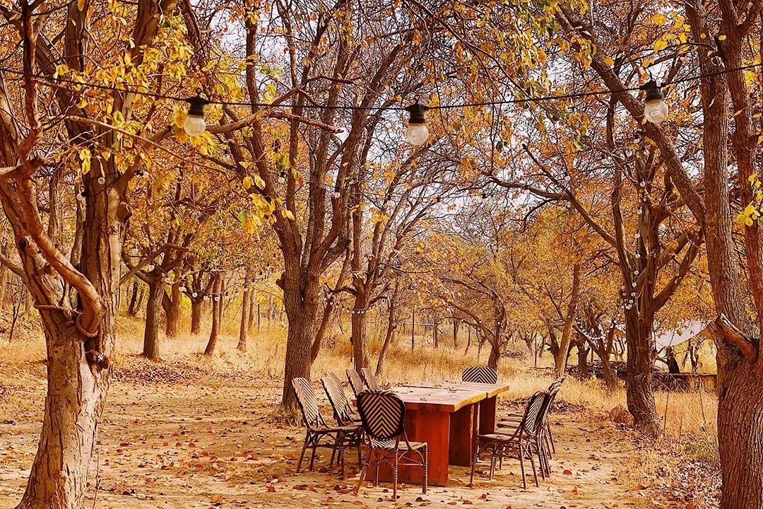 隐奢避世民宿,隐奢风格民宿