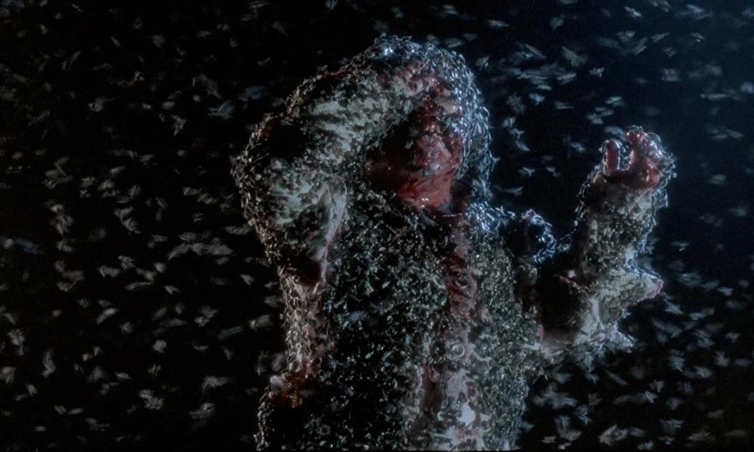 全世界最美的女人电影剪辑,全球最美的女人原声