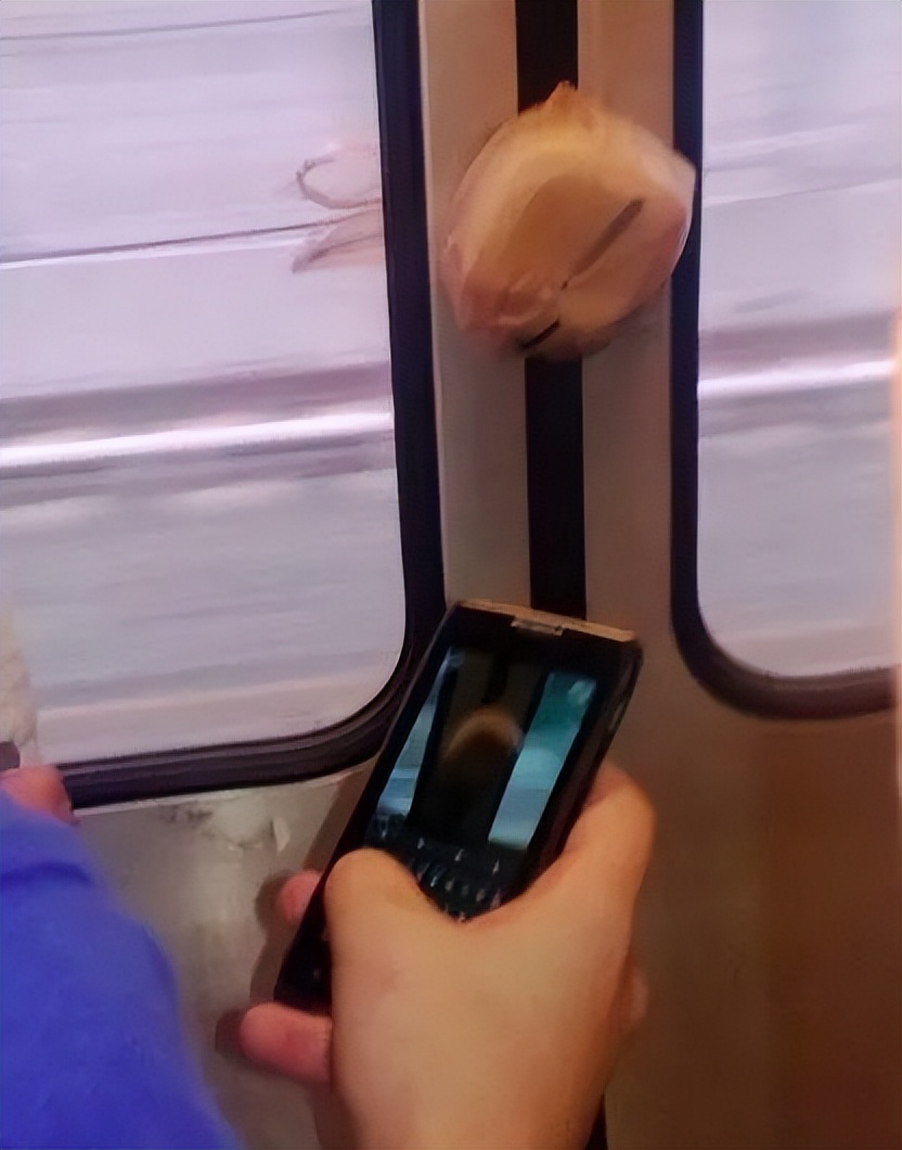 德国火车吐槽非正式会谈,吐槽德国铁路