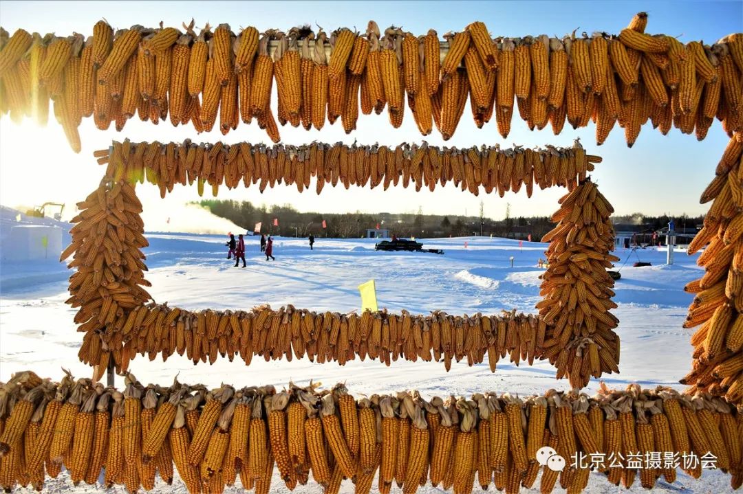 【第5期】微博月赛|3月我的家乡作品展示（一）