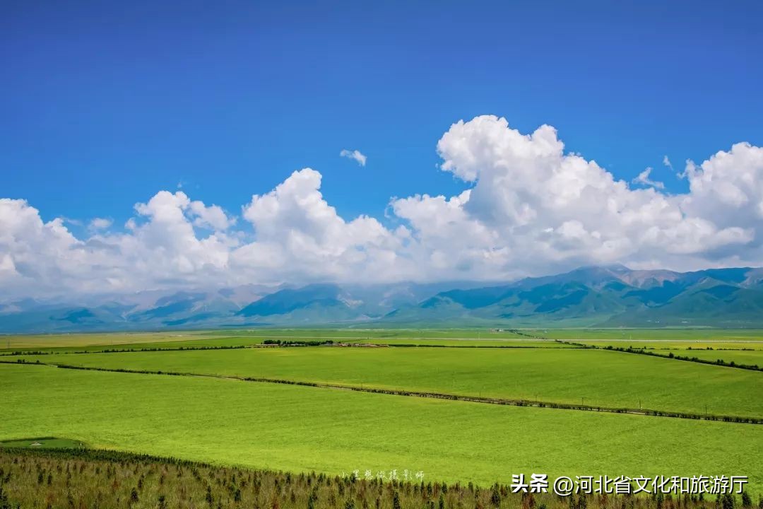 四川夏季旅行必打卡地,这几个最值得夏天去玩的旅行圣地