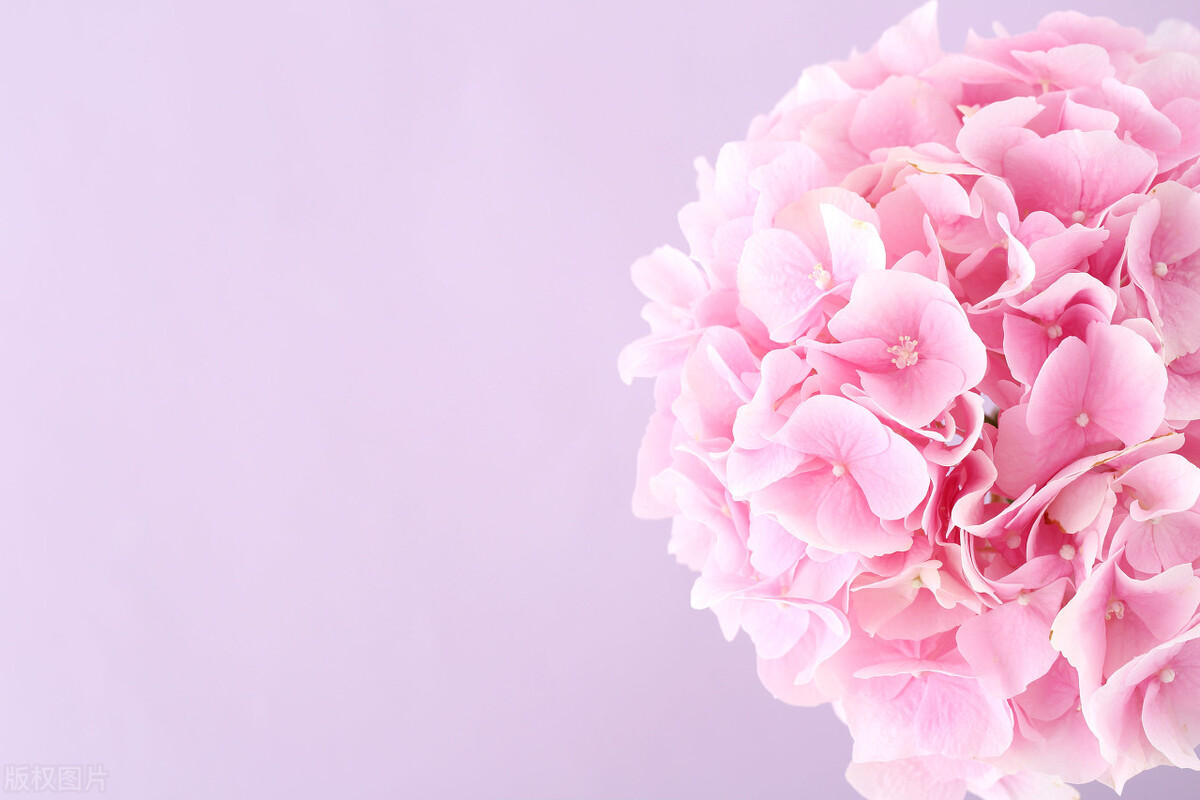 籍贯究竟应该怎么填,籍贯和贯籍的区别是什么