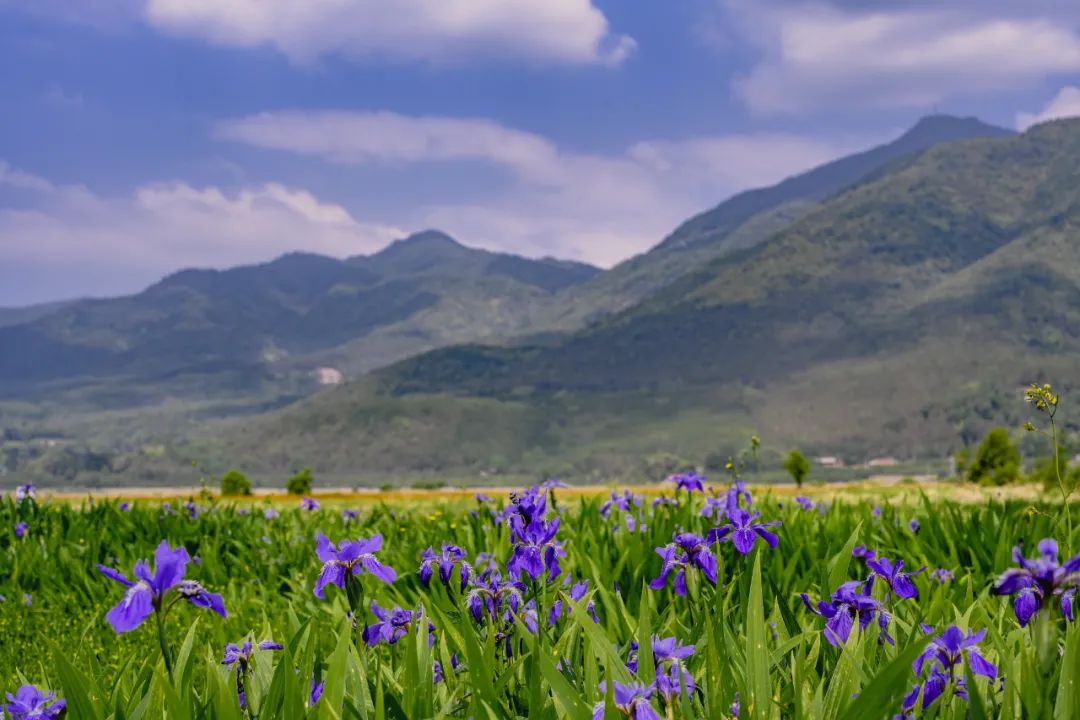 云南腾冲8天旅游攻略,有一种云南的生活叫美好