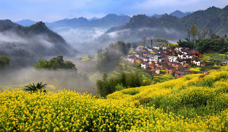 春色满园风景摄影,婺源摄影写真
