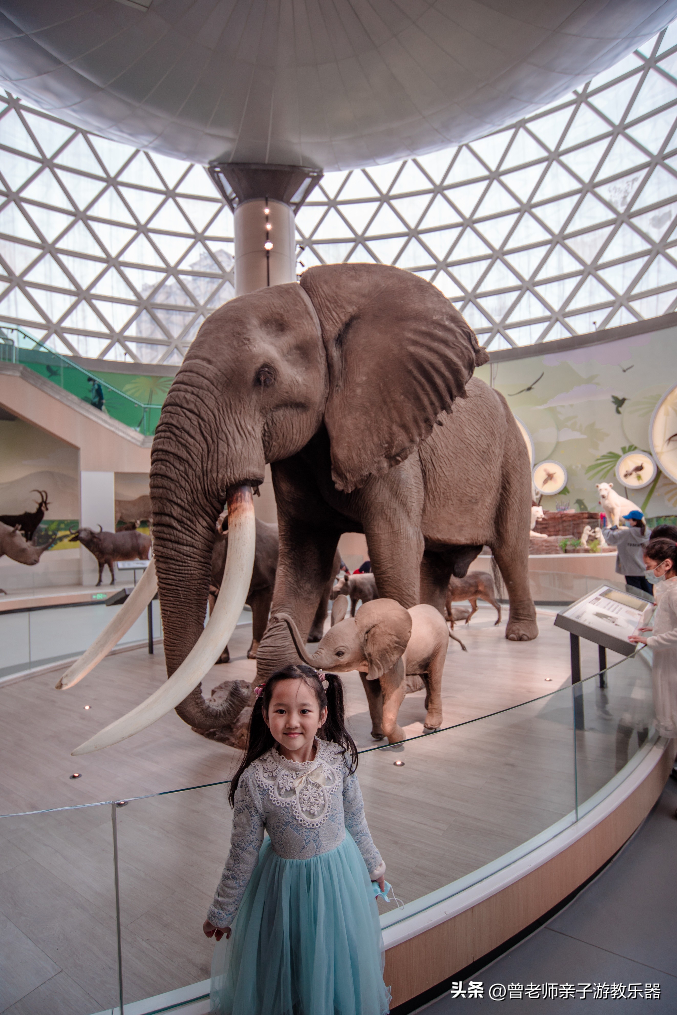 西安亲子游景点大全集,西安游玩攻略景点大全亲子