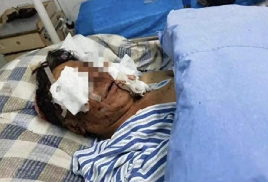 黑熊一巴掌威力测试,黑熊一巴掌力量有多大