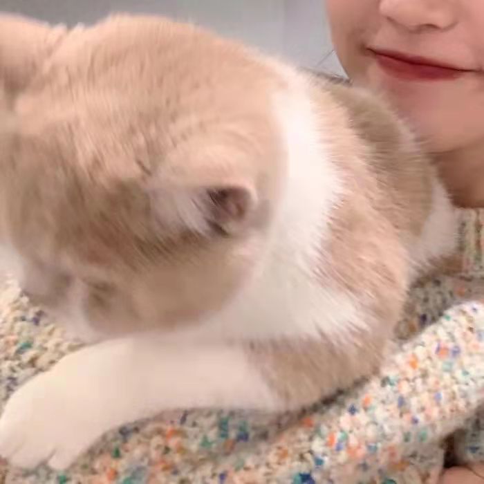 小众又高级的新年祝福文案,小众惊艳高级的朋友圈文案