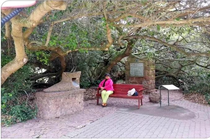 南非花园大道风景,南非花园大道游玩攻略图