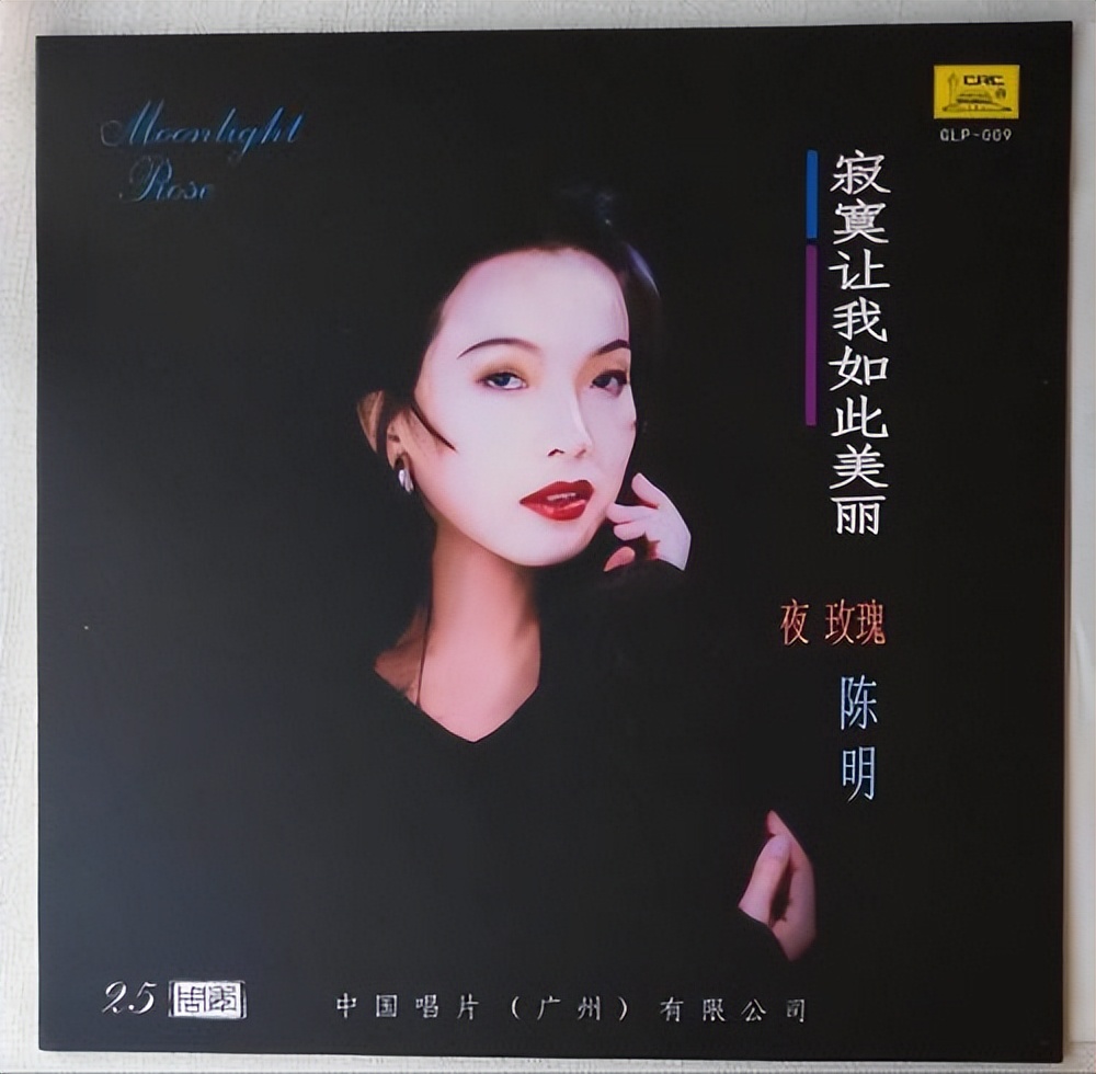 陈明经典歌曲为你,陈明韶经典歌曲