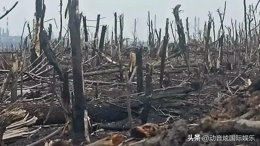 俄乌战争巴赫穆特的真实视频,巴赫穆特激战俄乌每日局势