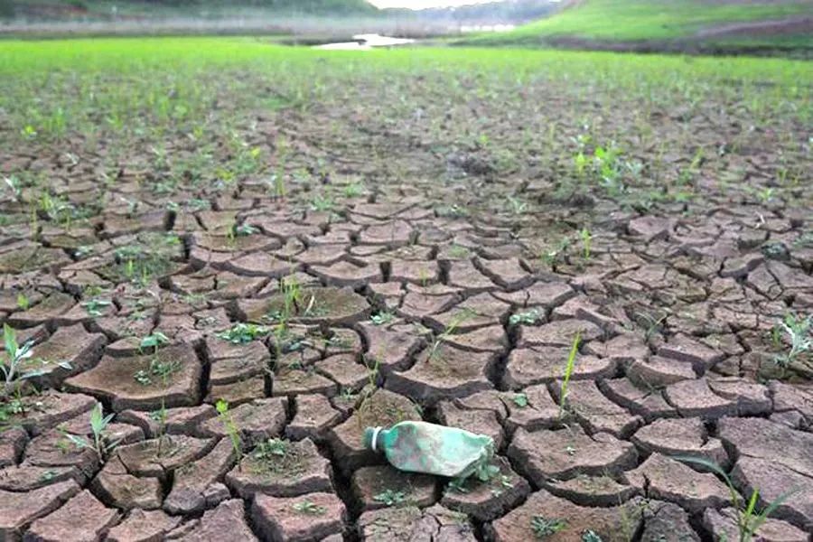 【双语资讯】科普：全球升温1.5℃和2℃区别到底有多大？