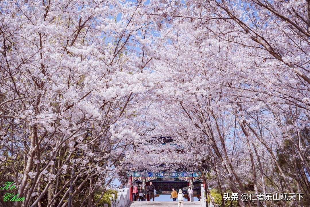 丧家的资本家乏走狗原文,丧家的资本家乏走狗指的是谁