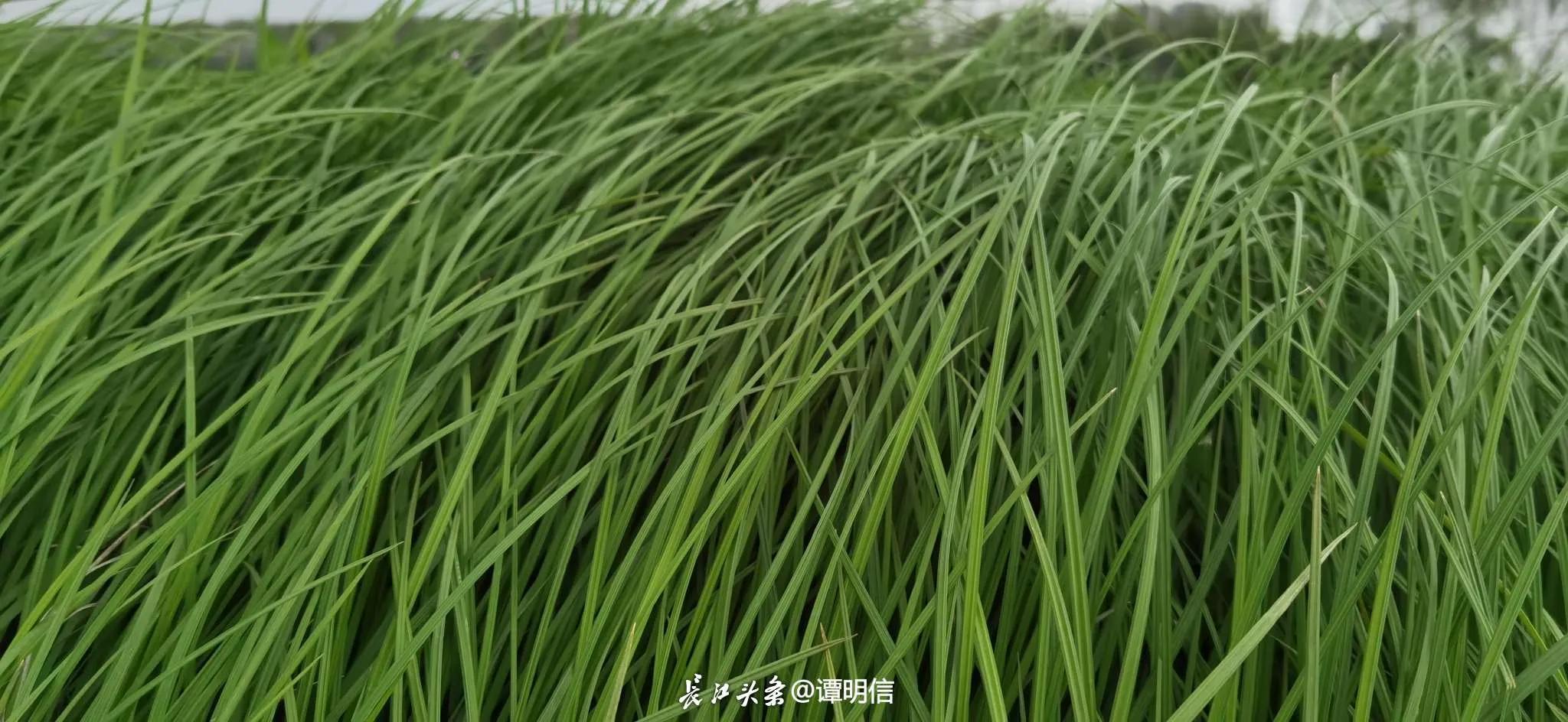 买基金最忌讳的一条,买基金犯什么错误