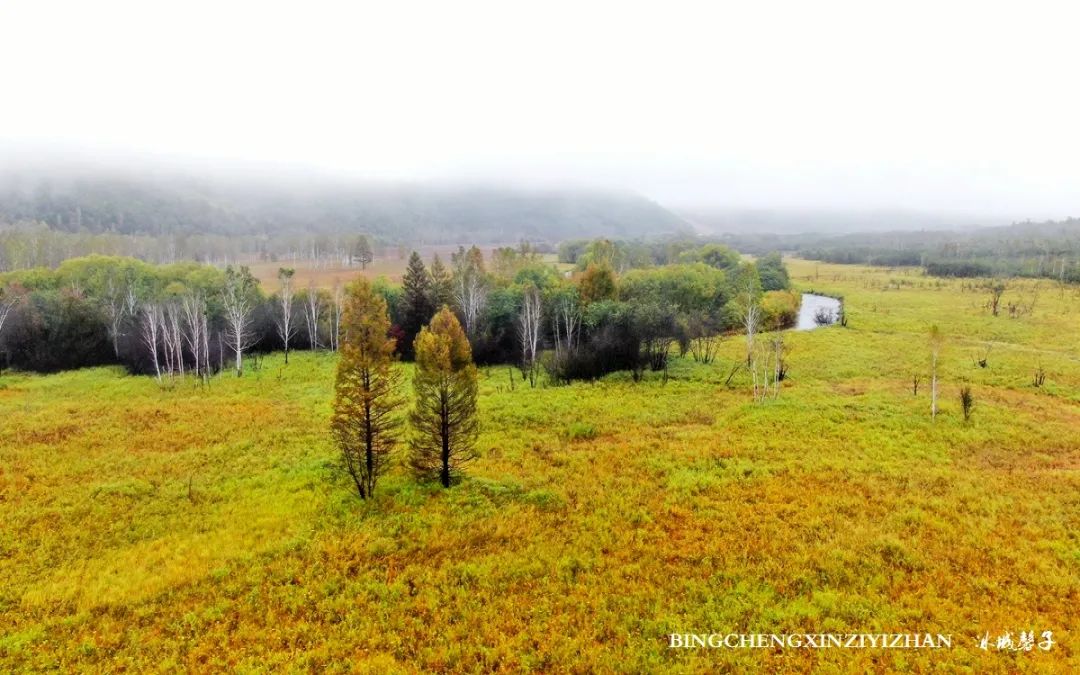 秋天大兴安岭最美的地方,秋天美丽的大兴安岭