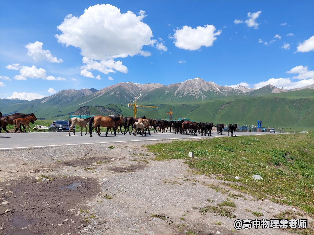 鐙簱鍏矾鐜枂鍗楀寳,鐙簱鍏矾淇￠┈娓哥枂