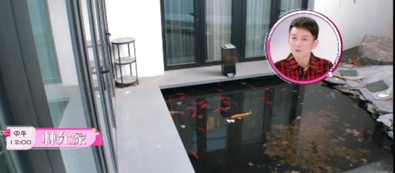 明星家里菜刀60万,明星一把菜刀价值60万