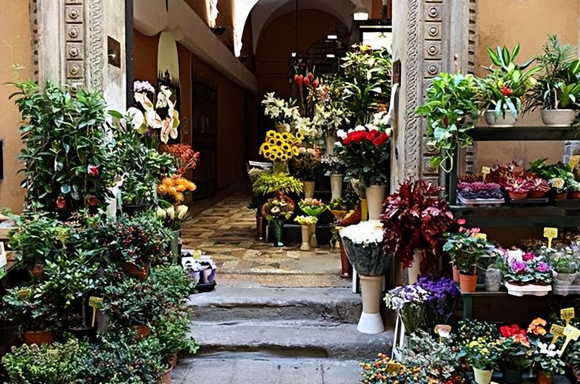 开花店真的是个危险的行业,开花店真的暴利吗