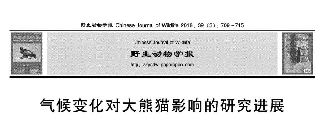 丫丫目前回国的样子,丫丫回国是好事还是坏事