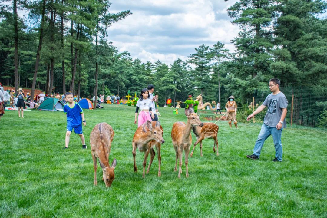 昆明周边旅游的好去处,常见的昆明周边度假攻略