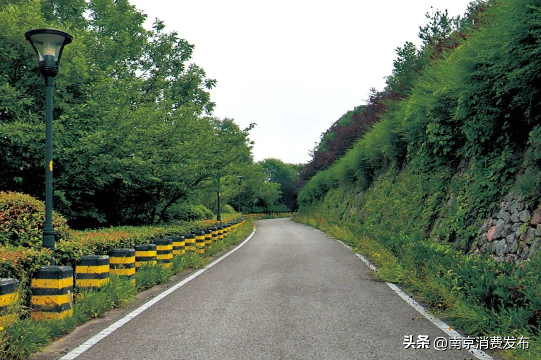 南京citywalk指南,南京12月份citywalk