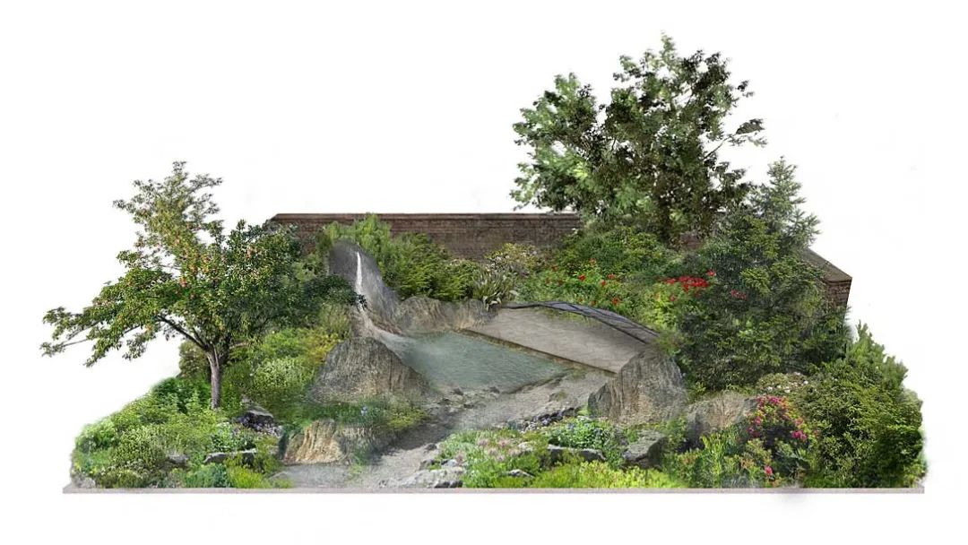 英国切尔西花展官网,切尔西花展正式对公众开放