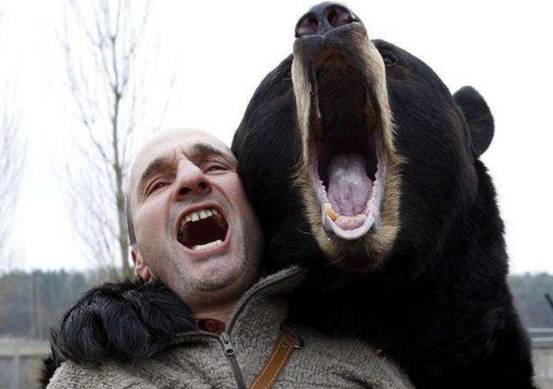 男子户外与黑熊靠吼声吓退黑熊,男子山下偶遇黑熊吓得躲起来