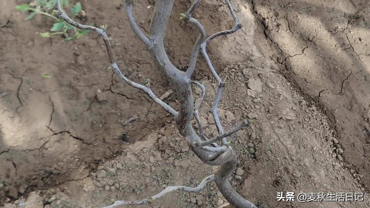 电脑硬盘不分区,电脑硬盘分区情况