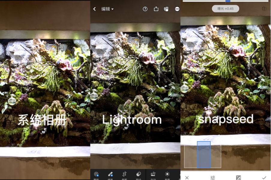 iphone14pro全部亮点,iphone14pro系列影像功能