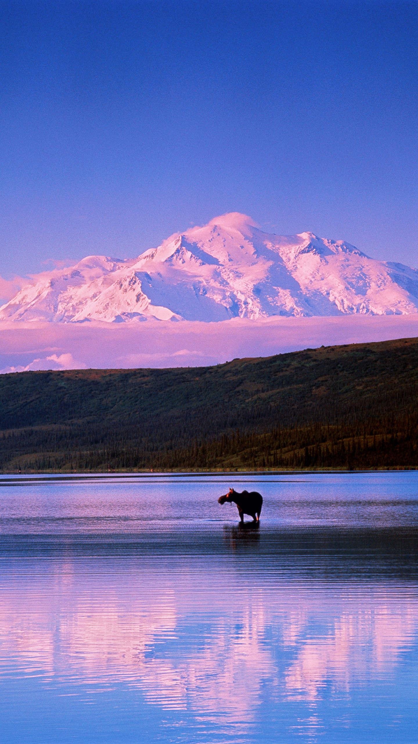 中国最美风景壁纸草原风景竖屏,山水风景1080*1920高清竖屏壁纸