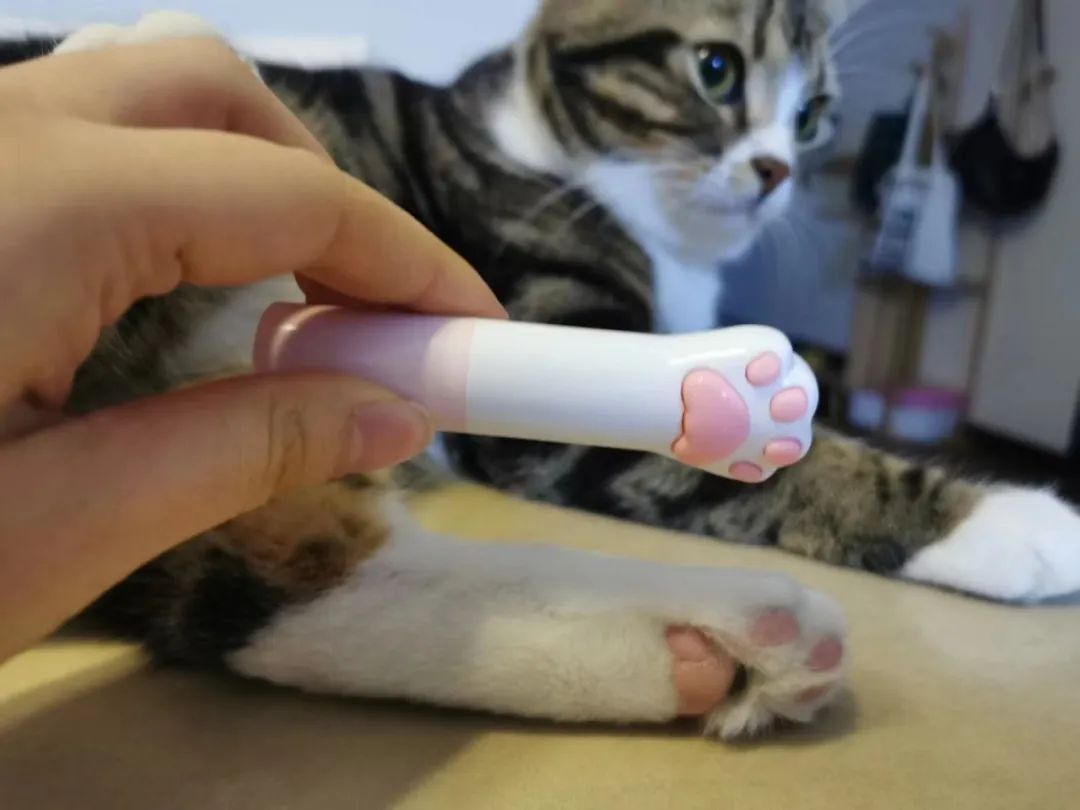 宅家无聊自己寻开心,宅在家无聊如何赚钱