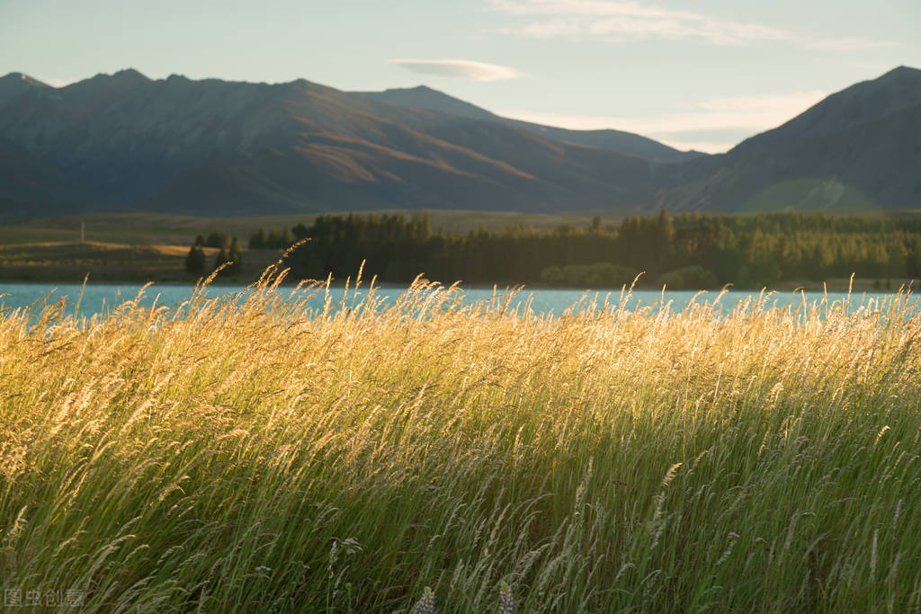 大圣传百万打赏,大圣传3