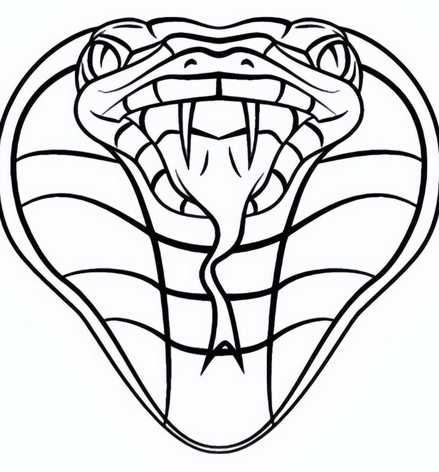 眼镜王蛇吞掉了条蟒蛇,眼镜王蛇生吞